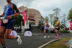 BIB: 
                            <button type="button" onclick="openModal(26528476)" class="btn btn-primary btn-sm float-right btn-popup" data-toggle="modal" data-target=".modal-high-quality">
                        <i class="fas fa-shopping-cart"></i> Add to Cart
                    </button>
                                            <button type="button" onclick="isThisMe(26528476, true)" class="btn btn-success btn-sm float-right btn-popup btn-isme hidden" data-toggle="tooltip" data-placement="bottom" title="นี่คือรูปของคุณใช่ไหม คลิกที่นี่เพื่อเอาเข้าอัลบั้ม">
                        <i class="fas fa-plus"></i> Add to album
                    </button>
                    <button type="button" onclick="isThisMe(26528476, false)" class="btn btn-warning btn-sm float-right btn-popup btn-isnotme hidden">
                        <i class="fas fa-ban"></i> Remove from album
                    </button>